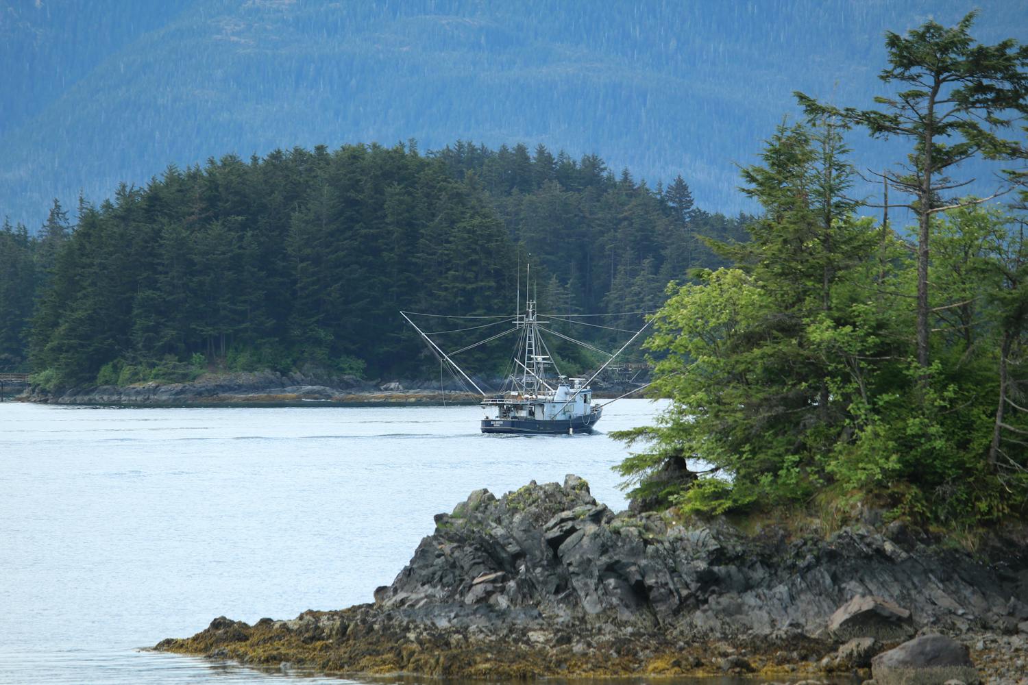 A fishing boat in a forested cove