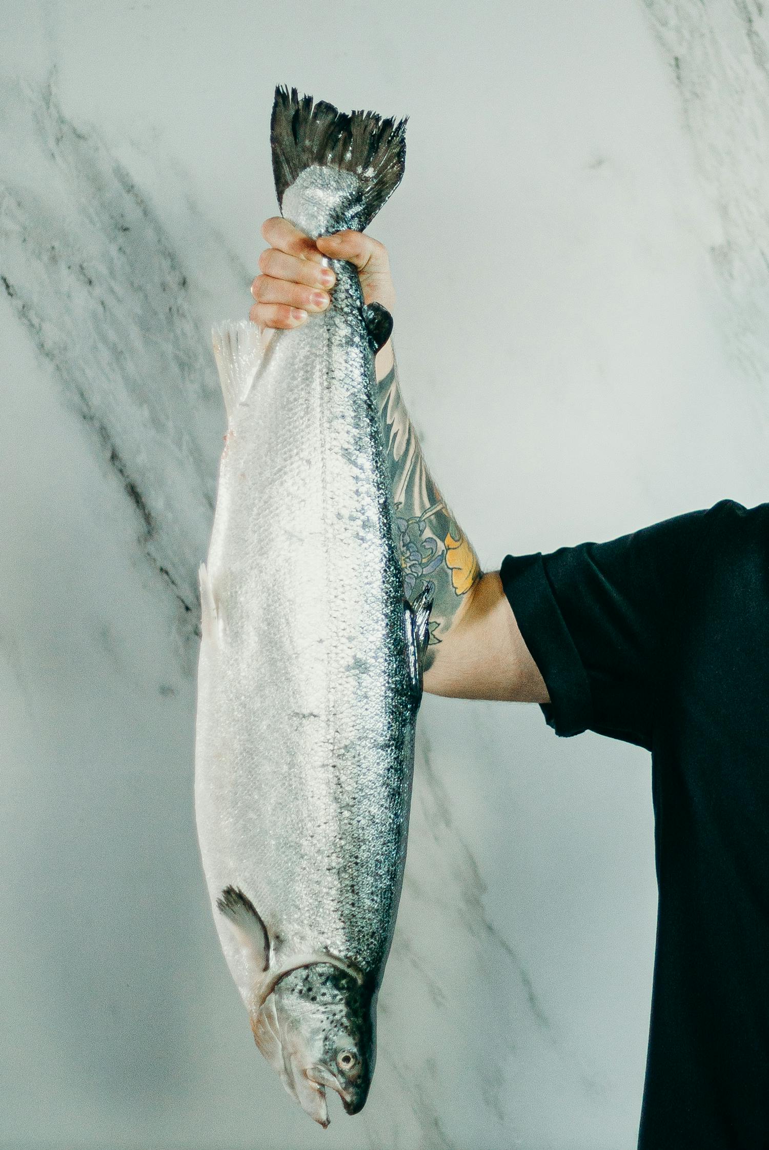 An angler holding a large catch
